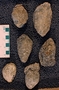 IMLS Silurian Reef Digitization Project, Image of Silurian crinoid fossil, specimen UC 21844