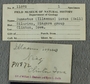 P 11872