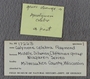 PE 17223