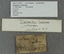 PE 54937