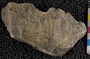 PE 54936