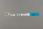 124111 Amblyscirtes vialis labels IN