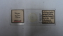 29922 Polyplax bullinae PT slide IN