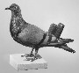 126290: Pigeon with whistles