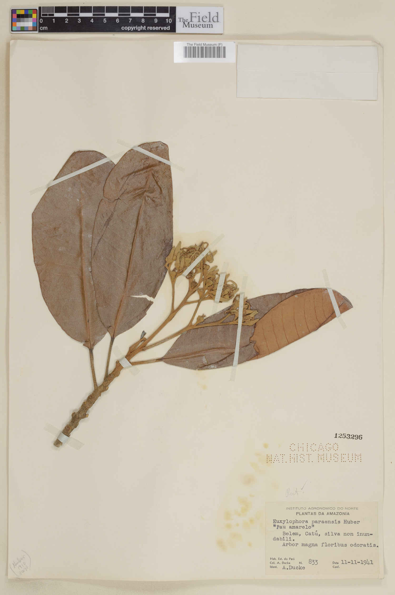 Catalogue | Botanical Collections