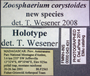 43431 Zoosphaerium corystoides HT  labels