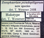 Zoospharium pseudopiligerum HT labels