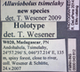 43812 Alluviobolus tsimelahy HT  labels