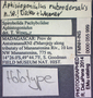 55999 Aphistogoniulus rubrodorsalis HT  labels