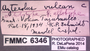 Aztecolus vulcan HT  labels