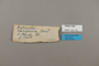 124175 Actinote carycina labels IN
