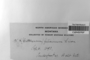 The complete conversion and digitization of the Field Museum's Bryophyte collection: Working towards a networking hub of bryophyte specimen and taxonomic data (Supported by NSF DBI-1057418)