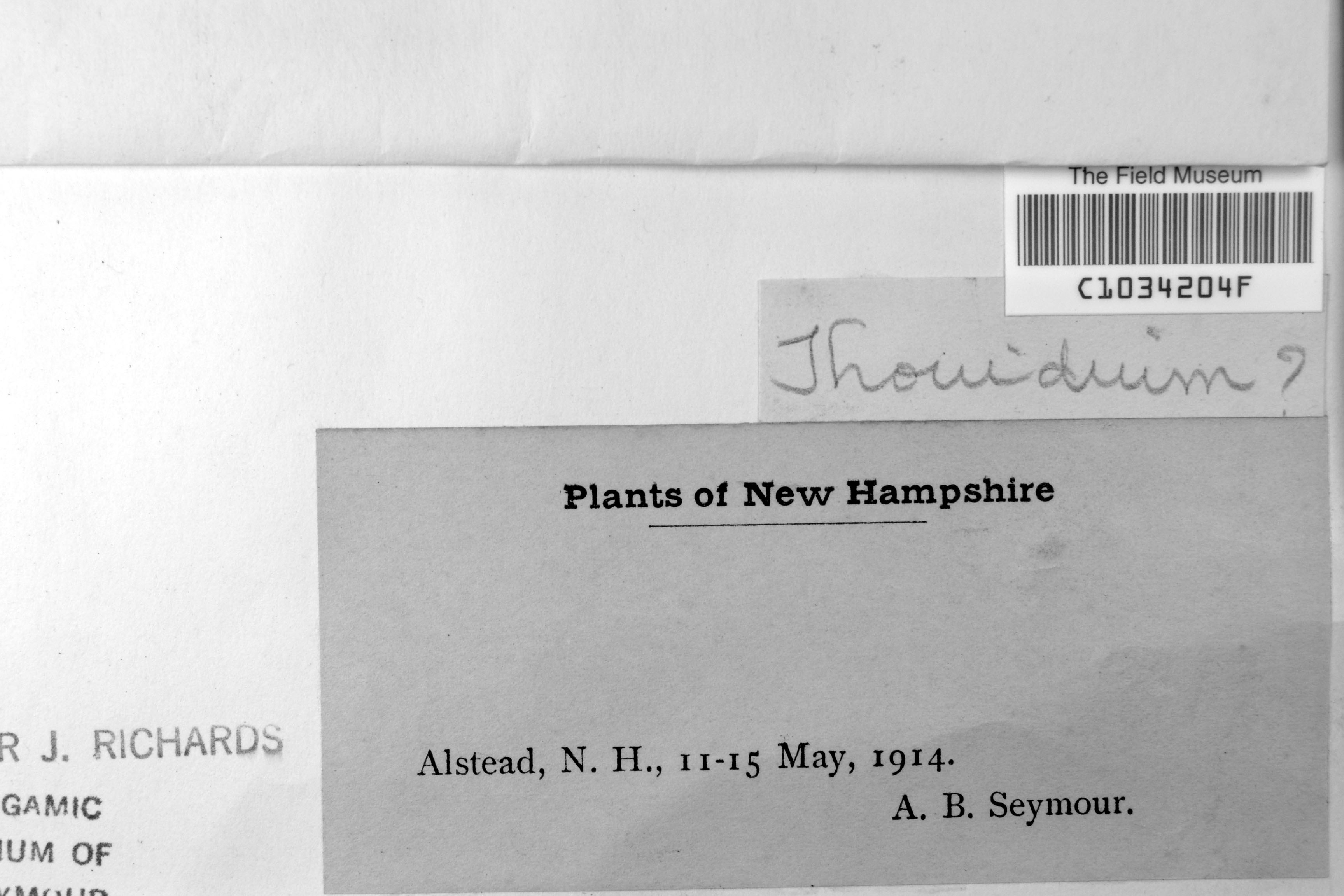 A. B. Seymour Botanical Collections