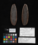 PP26812_image_1