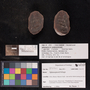 PP2701 image 1