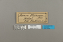 124214 Acraea violarum labels IN