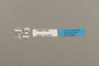 124651 Callicore lyca aegina labels IN
