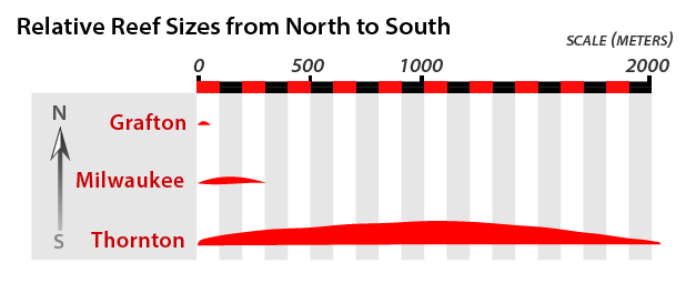 Graph of Relative Reef Sizes from North to South