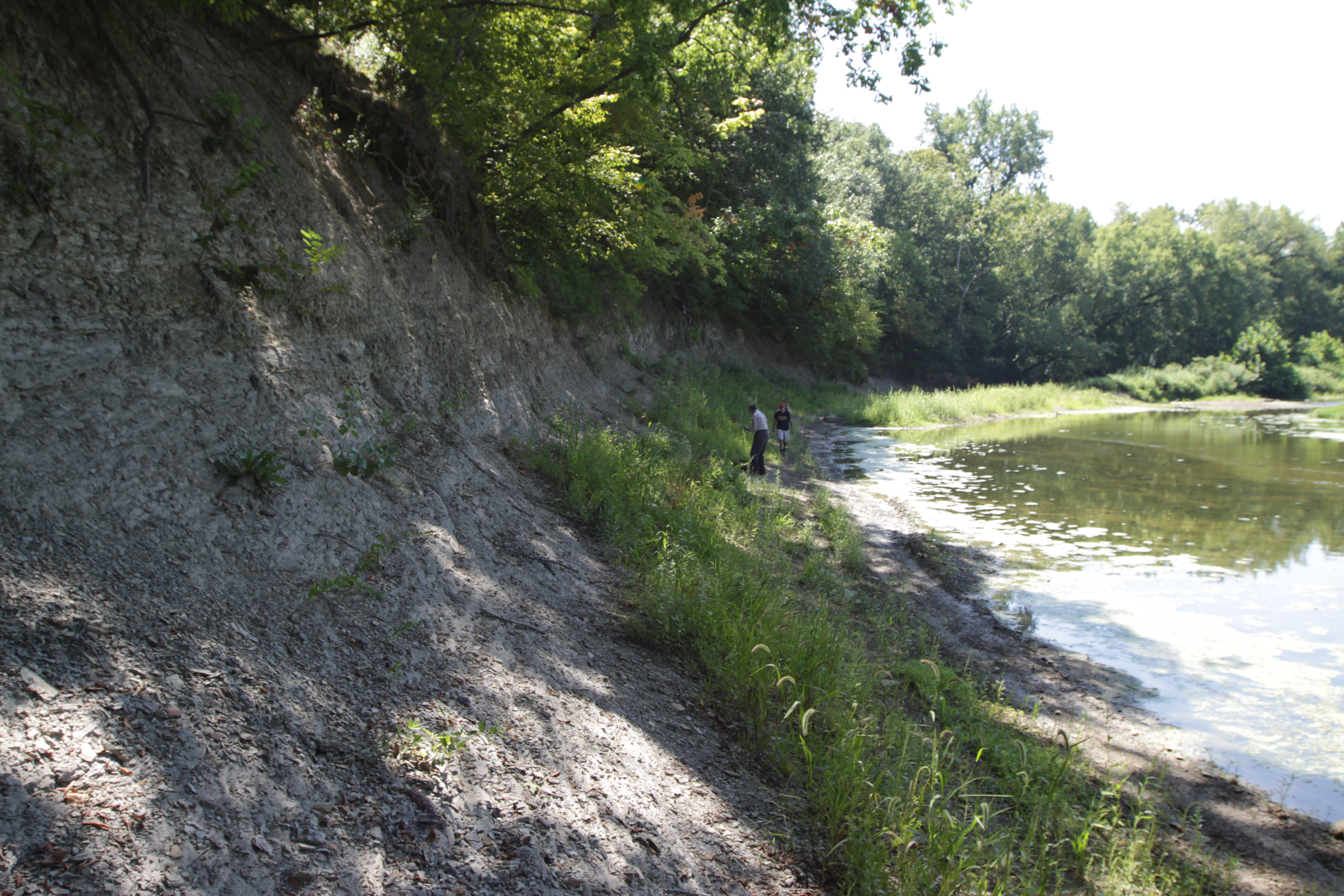 Pennsylvanian Francis Creek Member of the Cabondale Formation near Braidwood, Illinois. Mazon Creek nodules exposed in mudstone.