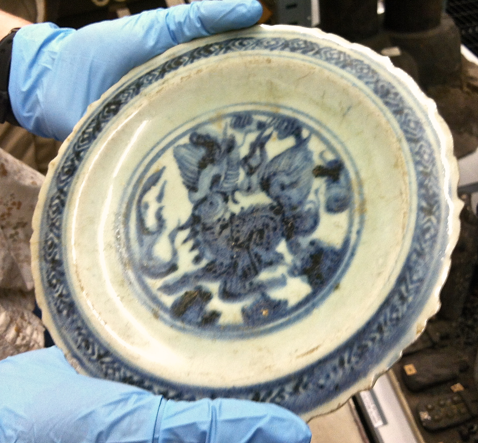 Reference image taken during Exhibit Development Process. 