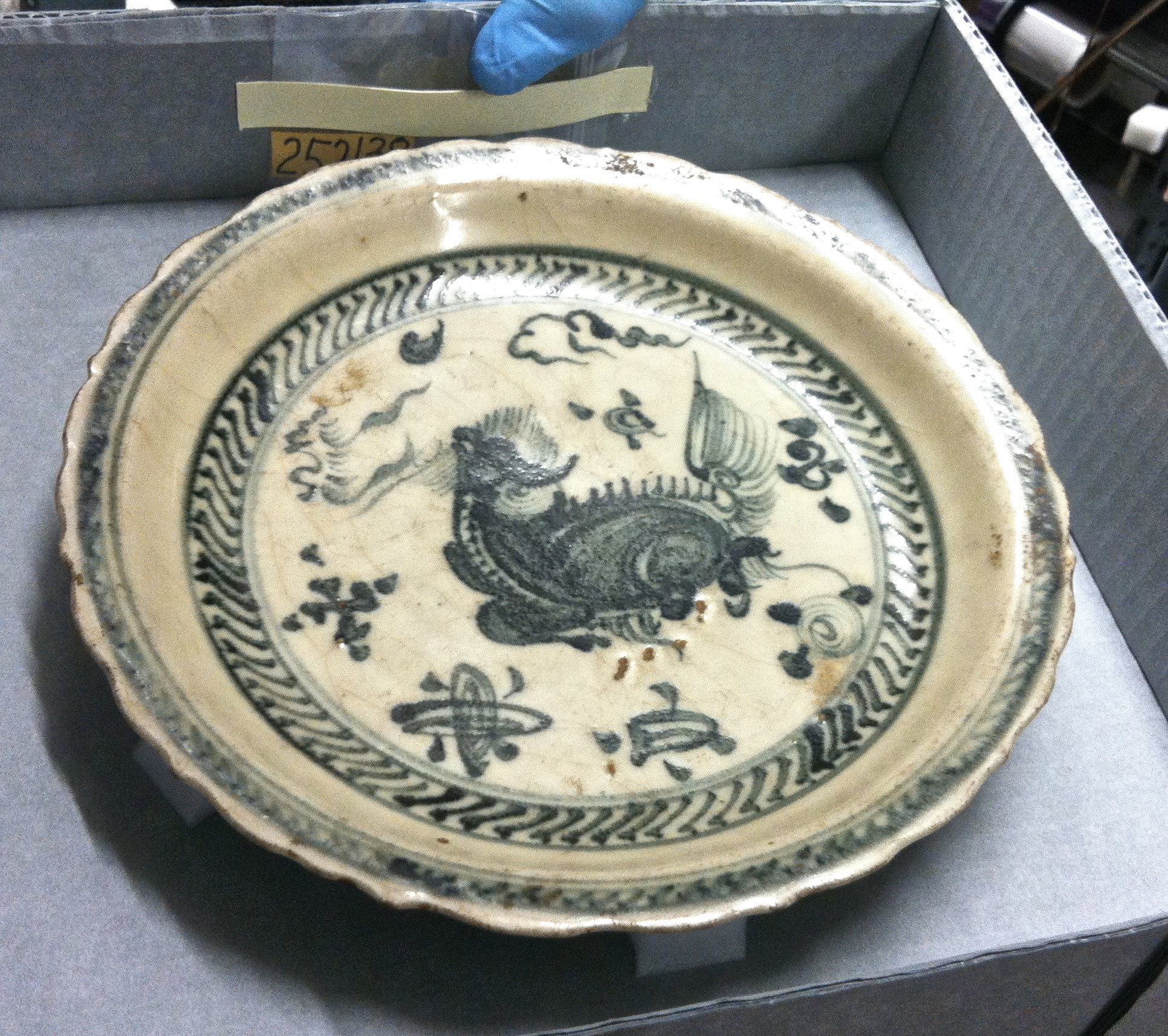 Reference image taken during Exhibit Development Process. 