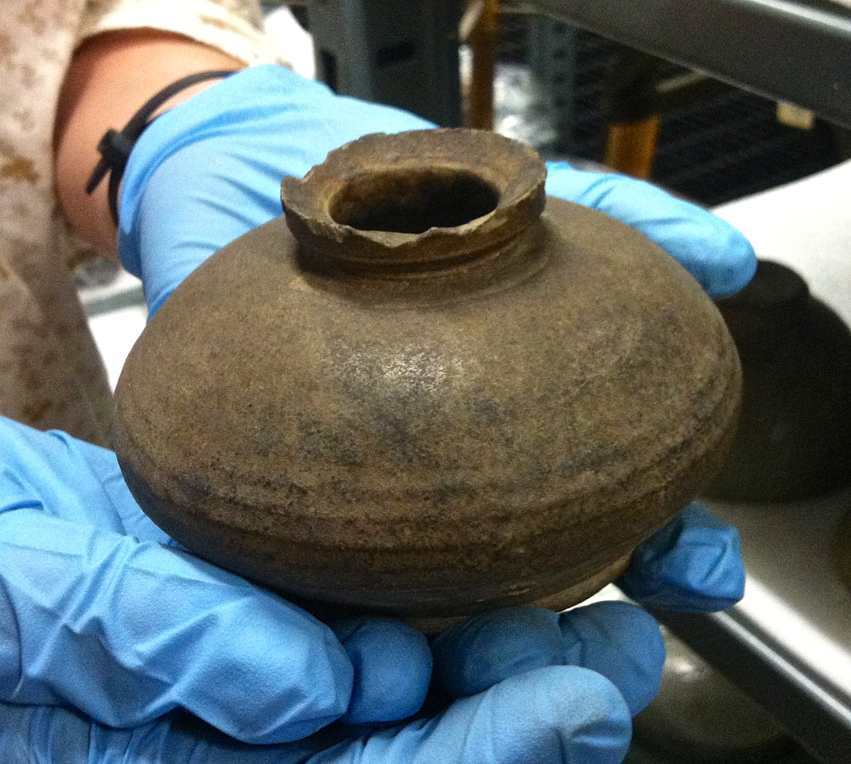 Reference image taken during Exhibit Development Process. 