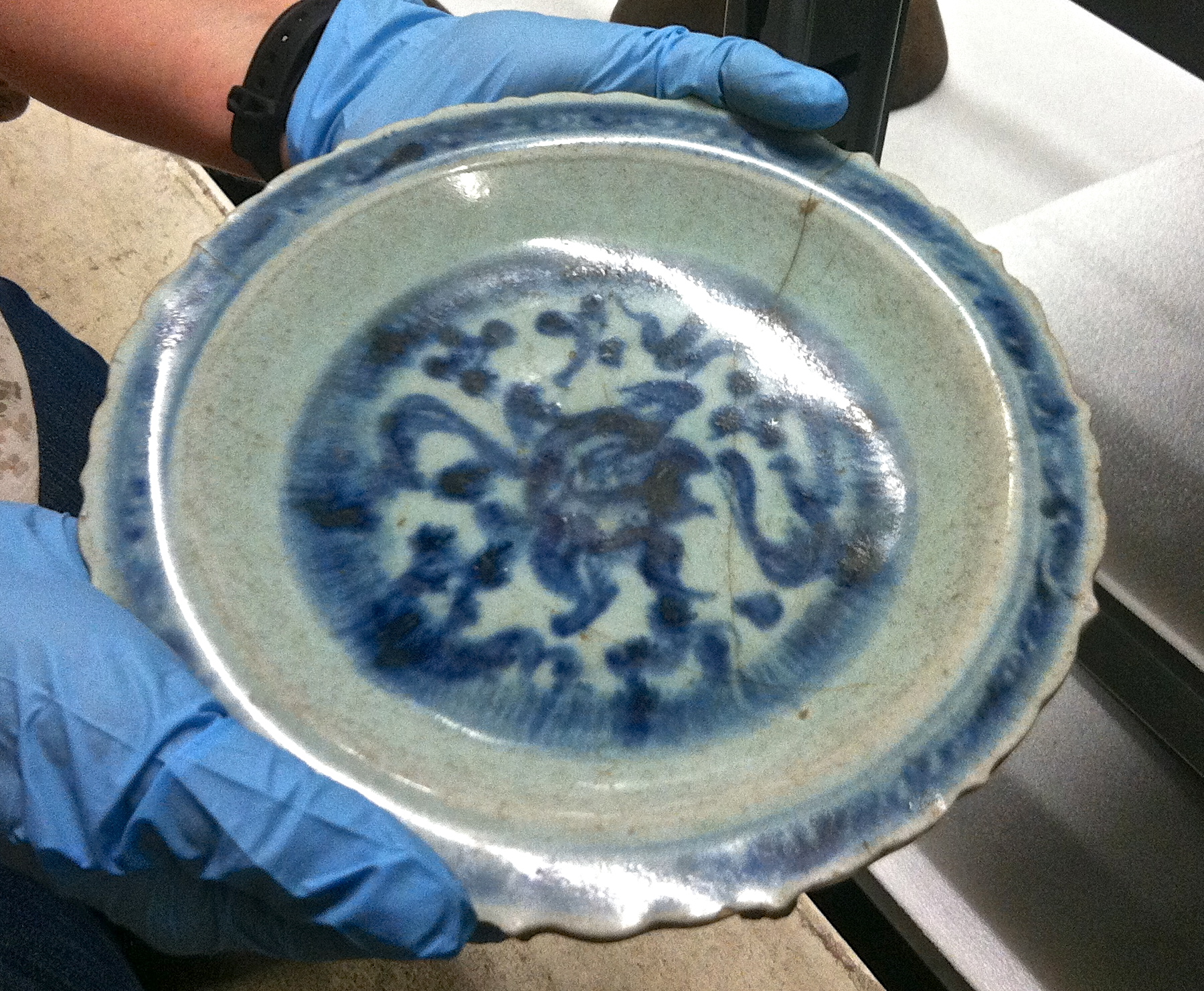 Reference image taken during Exhibit Development Process. 