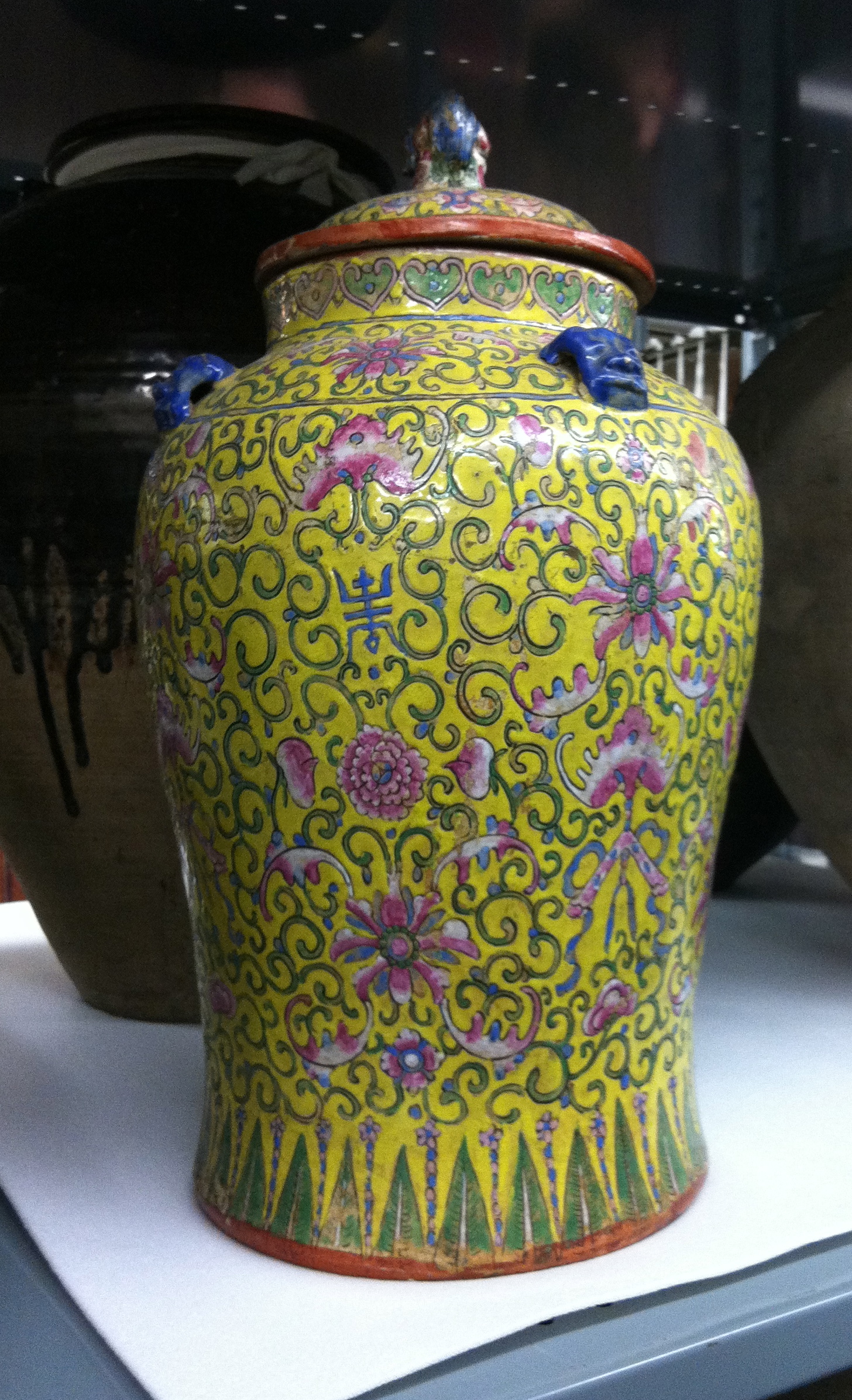 Reference image taken during Exhibit Development Process. 