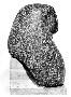 105172 diorite portion of statue