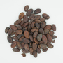 Theobroma cacao L., Trinidad Cacao, F
