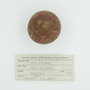 Olea europaea L., Red Ball Soap, Palestine, H. G. Moore, F