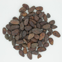 Theobroma cacao L., 41, F