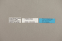 125002 Euphaedra cyparissa labels IN