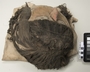 7417 false head of mummy bundle