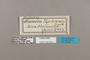 124516 Sea sophronia labels IN