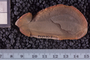 PE 29707 B