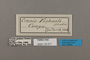 124571 Sevenia pechueli labels IN