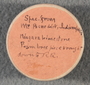 IMLS Silurian Reef Digitization Project, Image of a Silurian brachiopod label PE 76966