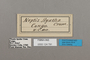 124791 Neptis agatha labels IN