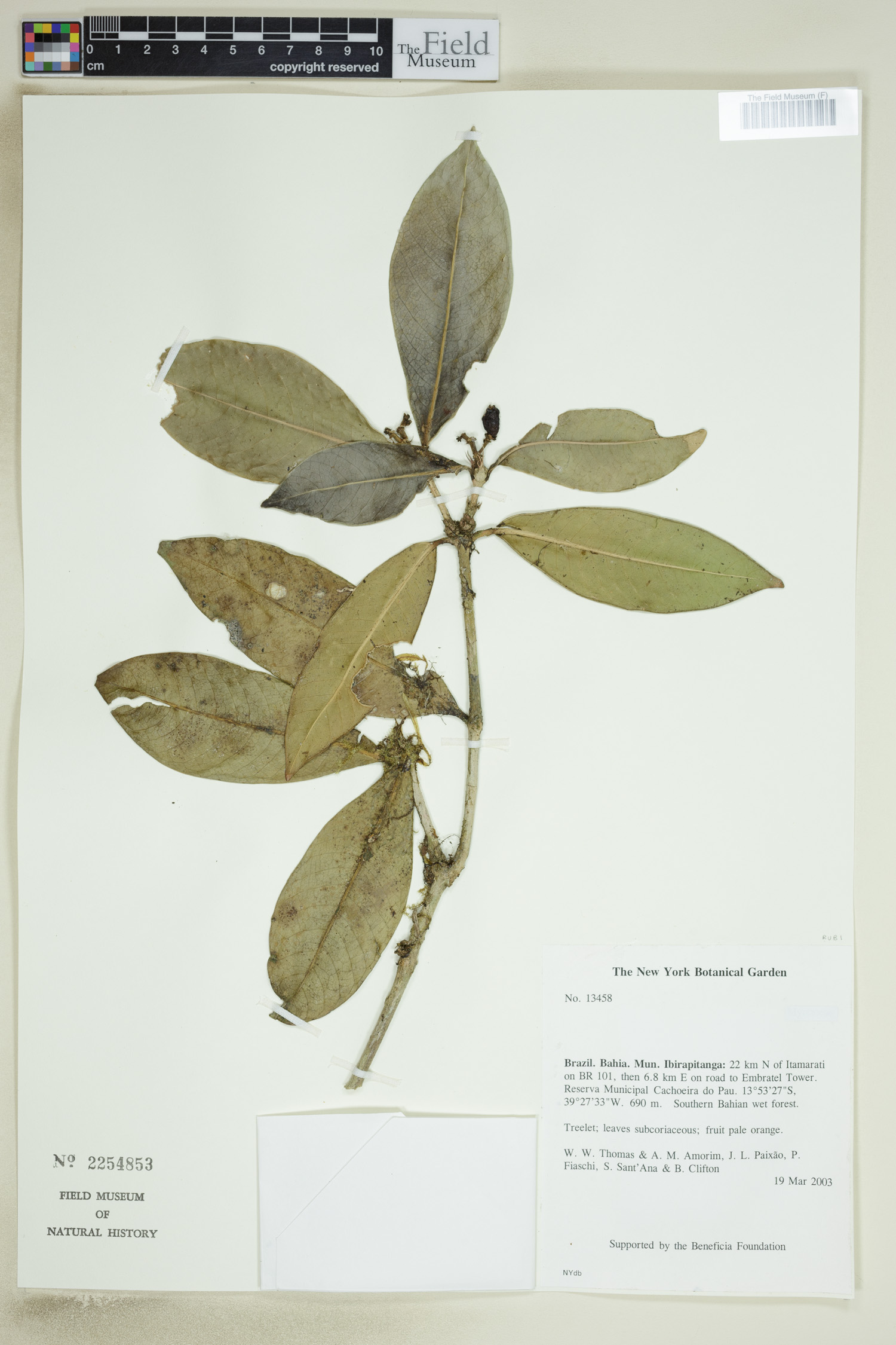 Catalogue | Botanical Collections