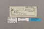 124819 Bebearia barce ssp labels IN