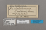 124820 Bebearia cutteri labels IN