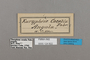 124822 Bebearia cocalia labels IN