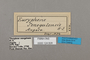124828 Bebearia senegalensis labels IN