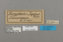 124830 Bebearia sophus labels IN