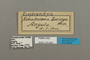 124840 Euphaedra losinga labels IN