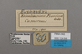 124849 Euphaedra francina labels IN