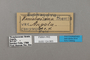 124865 Euphaedra campaspe labels IN