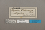 124929 Memphis philumena chaeronea labels IN