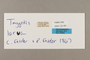 125461 Taygetis larua labels IN